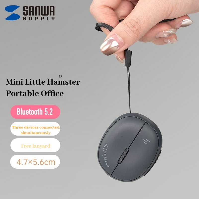 Sanwa Mini Bluetooth Wireless  - Desk Setup Mac recensie en prijs